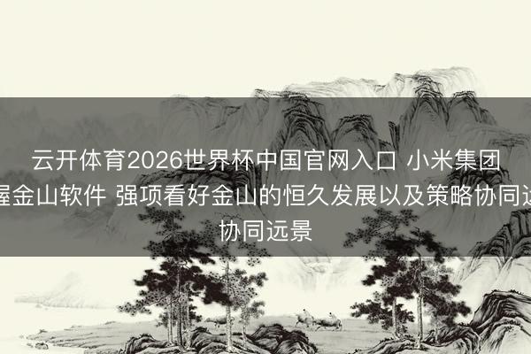 云开体育2026世界杯中国官网入口 小米集团增握金山软件 强项看好金山的恒久发展以及策略协同远景