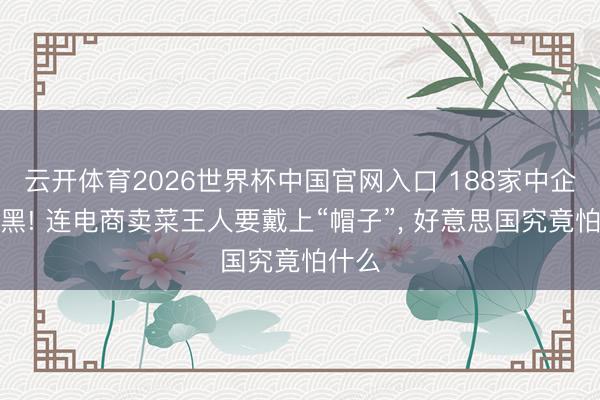 云开体育2026世界杯中国官网入口 188家中企被拉黑! 连电商卖菜王人要戴上“帽子”， 好意思国究竟怕什么
