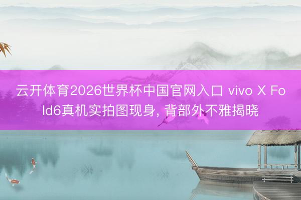 云开体育2026世界杯中国官网入口 vivo X Fold6真机实拍图现身， 背部外不雅揭晓