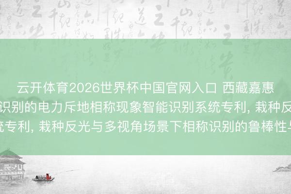 云开体育2026世界杯中国官网入口 西藏嘉惠多多量智央求基于图像识别的电力斥地相称现象智能识别系统专利， 栽种反光与多视角场景下相称识别的鲁棒性与可解说性