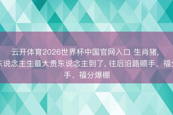 云开体育2026世界杯中国官网入口 生肖猪， 你的东说念主生最大贵东说念主到了， 往后沿路顺手、福分爆棚
