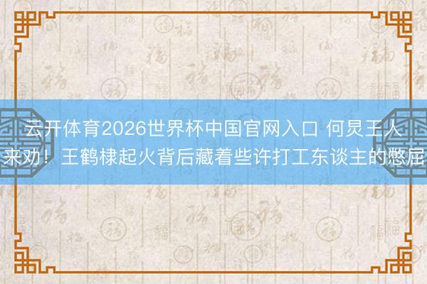 云开体育2026世界杯中国官网入口 何炅王人来劝！王鹤棣起火背后藏着些许打工东谈主的憋屈