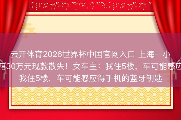 云开体育2026世界杯中国官网入口 上海一小区内，特斯拉后备箱30万元现款散失！女车主：我住5楼，车可能感应得手机的蓝牙钥匙