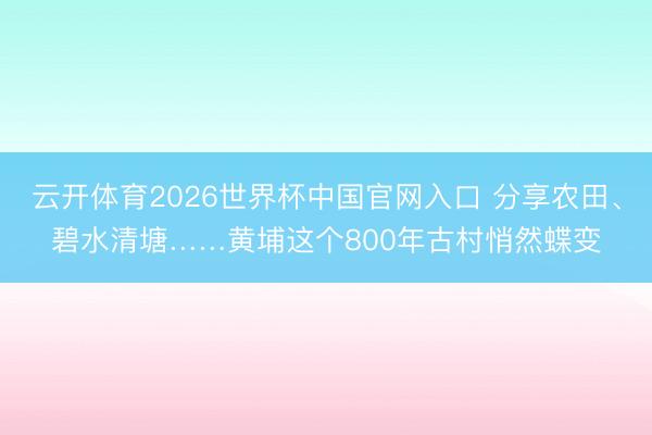 云开体育2026世界杯中国官网入口 分享农田、碧水清塘……黄埔这个800年古村悄然蝶变