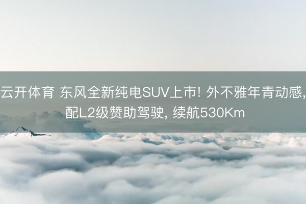 云开体育 东风全新纯电SUV上市! 外不雅年青动感, 配L2级赞助驾驶, 续航530Km